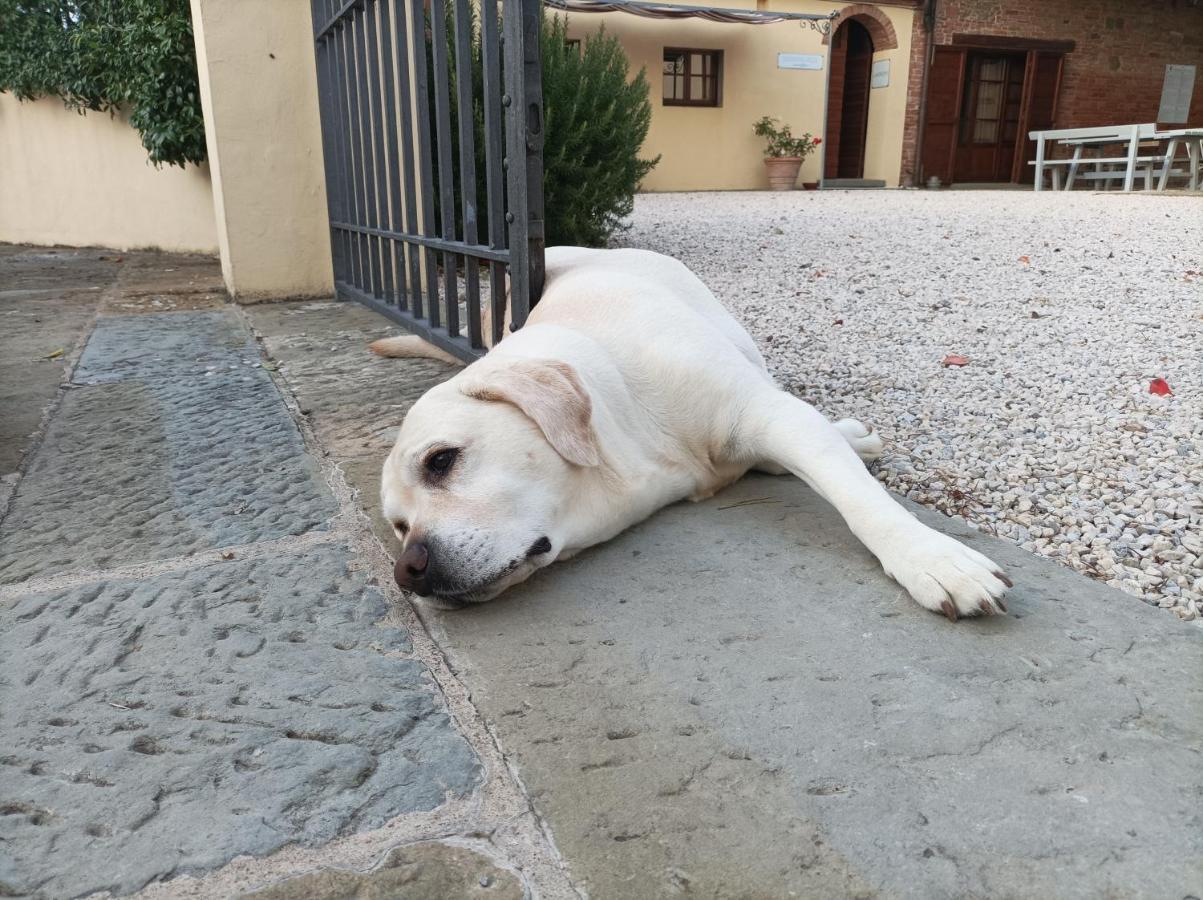 Podere Il Belvedere Su Cortona Castiglion Fiorentino Zewnętrze zdjęcie